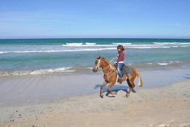 Horse Riding Experience through El Limon Beach - Who this horseback ride suits best