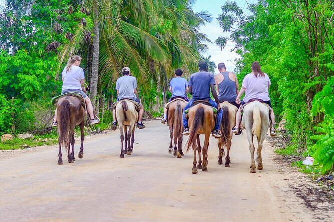 HORSEBACK - RIDE Through Punta Cana - Safety, Riding Level, and the Reality Check on Horse Condition
