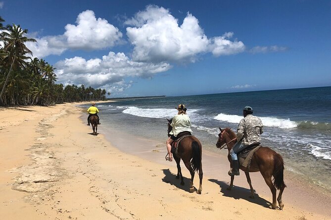 Horseback Riding Adventure to Macao Alto Beaches in Punta Cana - Key points to know before you go
