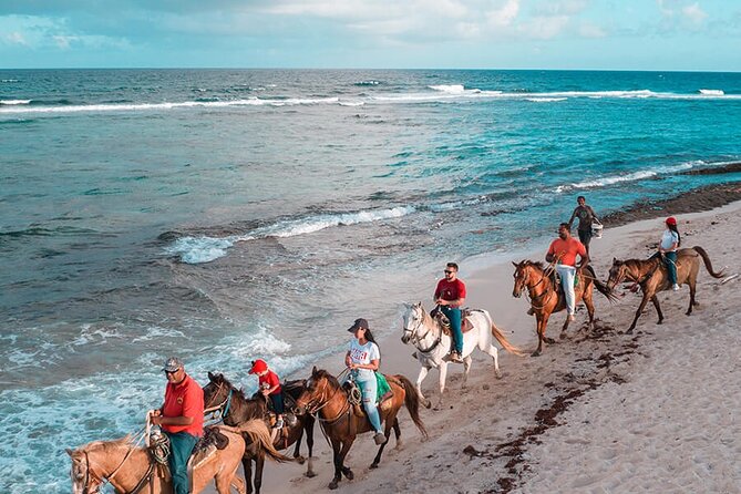 Horseback Riding Adventure to Macao Alto Beaches in Punta Cana - The 5-Hour Flow: Pickup, Ranch Instruction, and Beach Time