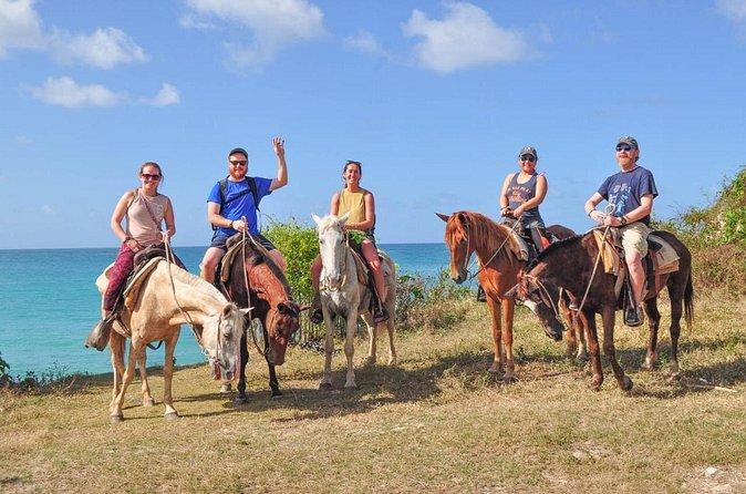 Horseback riding along Macao beach from Punta Cana - Pickup and mobile ticketing: easy when it runs right