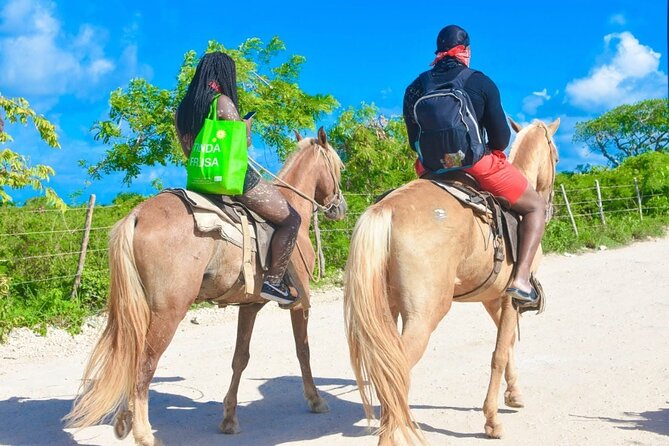 Horseback riding along Macao beach from Punta Cana - Who this horseback ride suits best (and who should be cautious)
