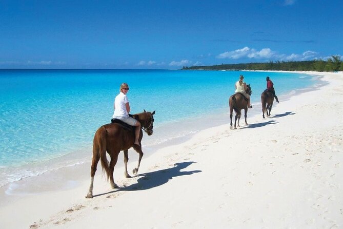 Horseback Riding along the Beach - Day 2 on Macao Beach: repeat riding, smoother photos, same big views