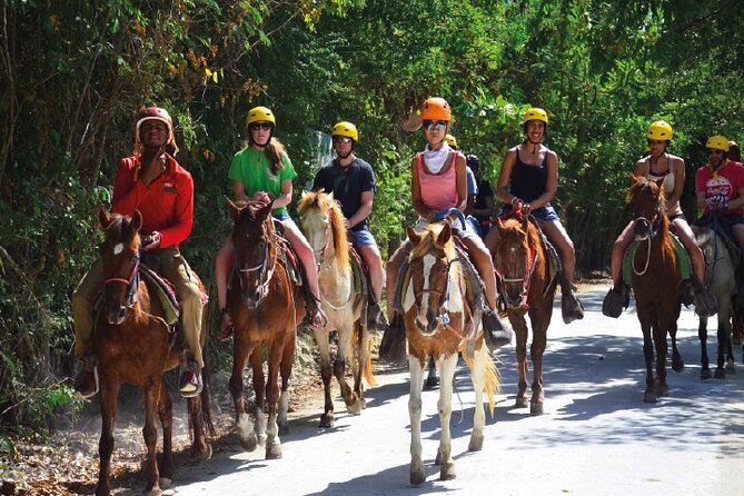 Horseback Riding along the Beach - Price and value at $60 per person