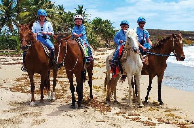 Horseback Riding along the Beach - Weather, cancellations, and when the tour might shift