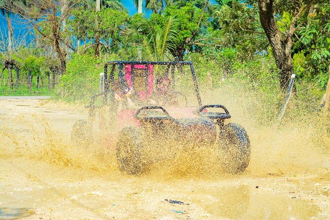 Horseback Riding and Buggy and Macau Cave and Beach Tour - Macao Beach swim: a quick window that still feels like a real break