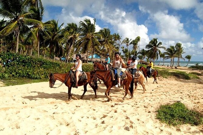 Horseback Riding at Macao Beach - Key Highlights You’ll Care About