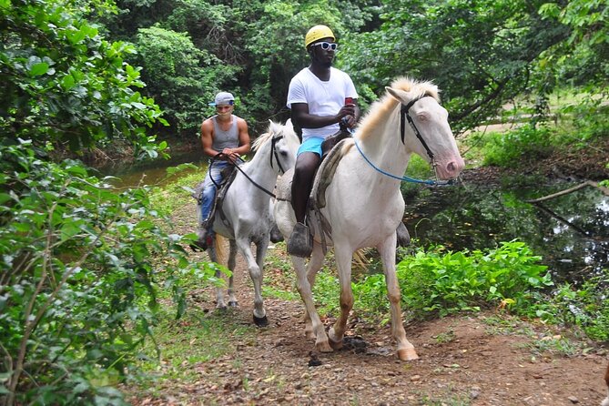 Horseback Riding at Macao Beach - Horseback Riding at Macao Beach: What You’re Really Booking