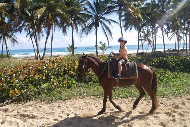 Horseback Riding at Macao Beach - Toward Macao Beach: Forest Trails, Then Sand Underfoot