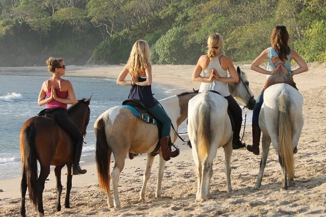 Horseback Riding at Macao Beach - Cigar and Mamajuana Tastings: A Cultural Stop (With Common Sense)