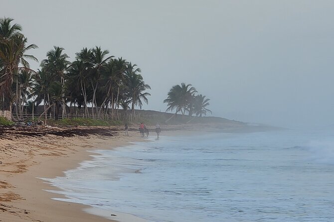 Horseback Riding at Sunrise on the Beach of Punta Cana - Photos at First Light: How to Get the Shots People Actually Want