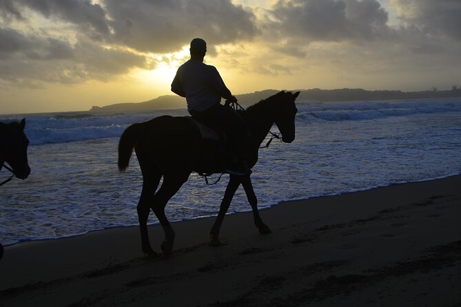 Horseback Riding at Sunrise on the Beach of Punta Cana - Who Should Book This (and Who Might Skip It)