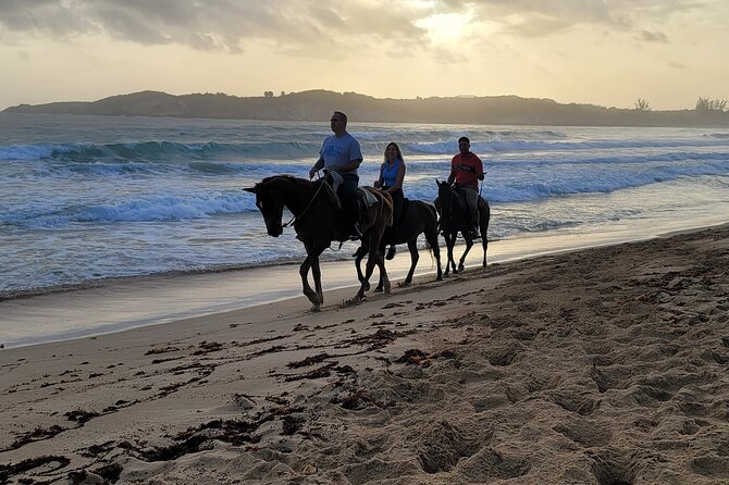 Horseback Riding at Sunrise on the Beach of Punta Cana - Bavaro to Playa Macao: The Start of Your Sunrise Ride