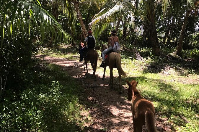 Horseback Riding - Experience between virgin beach and lagoon - Laguna Redonda pier stop: photos, stillness, and a real break