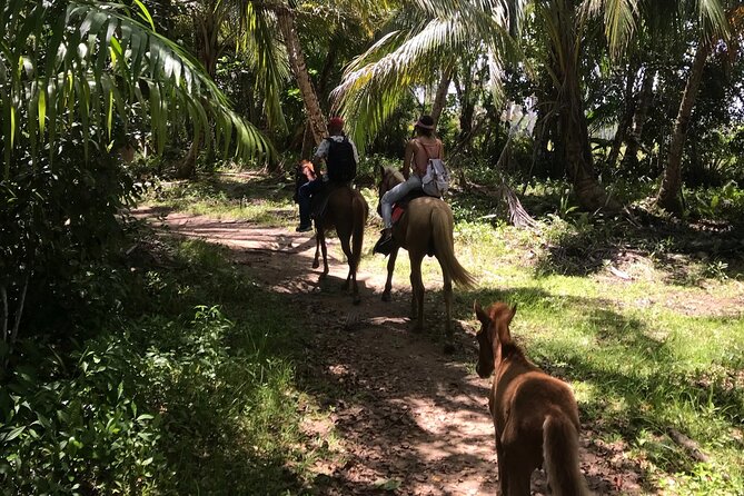 Horseback Riding - Experience between virgin beach and lagoon - Playa Esmeralda swim time: what the bath is really like