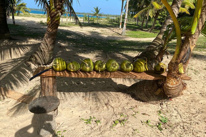 Horseback Riding - Experience between virgin beach and lagoon - Horses, guides, and included extras that reduce hassle