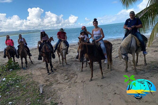 Horseback Riding - Experience between virgin beach and lagoon - Who should book this ride (and who might rethink it)