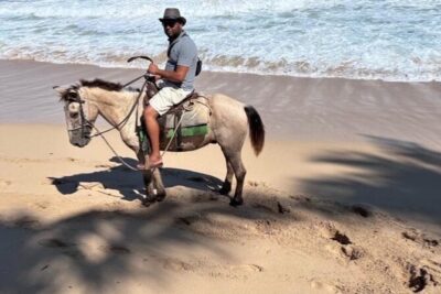 Horseback Riding Experience in Punta Cana - The 2-hour rhythm: pickup, helmet, and what happens before you ride