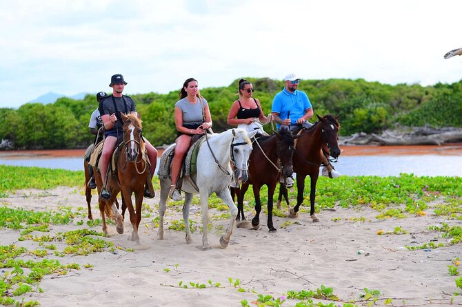Horseback riding in punta cana beach and Bayahibe - Price and what $45 buys you in real terms