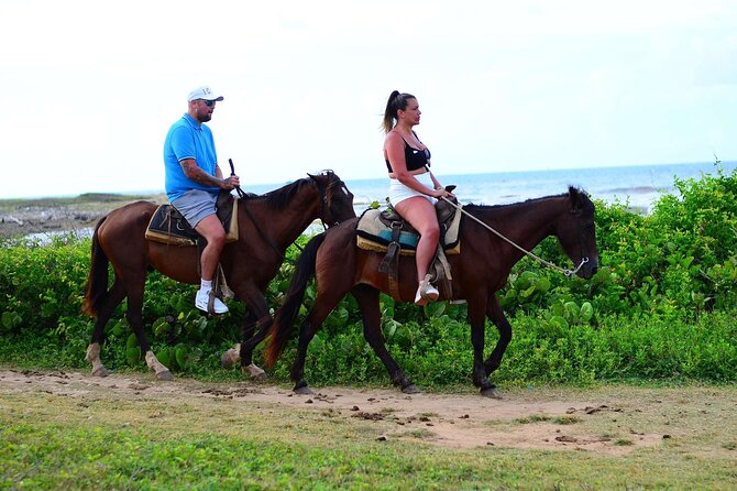 Horseback riding in punta cana beach and Bayahibe - Horses and guides: safety basics that make a difference