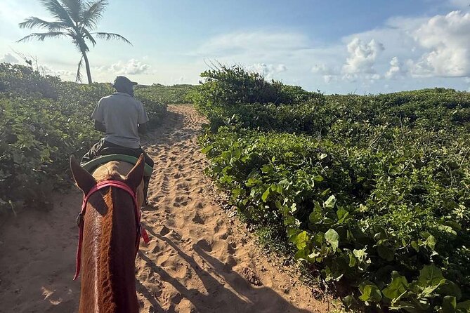 Horseback riding in punta cana beach and Bayahibe - Who should book this horseback tour