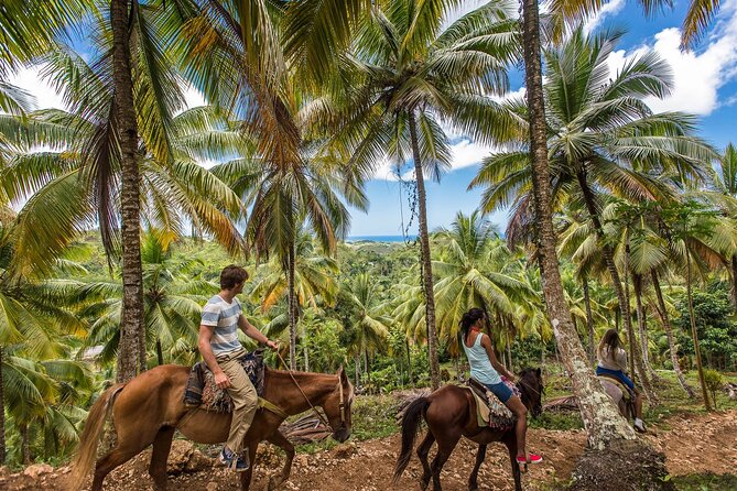 Horseback Riding in the Dominican Jungle - Key highlights worth your attention