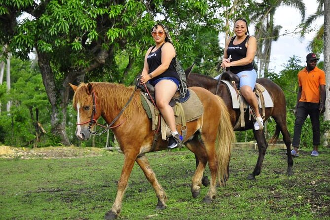 Horseback Riding in the Dominican Jungle - Horseback Riding in Uvero Alto: what the jungle ride is really like