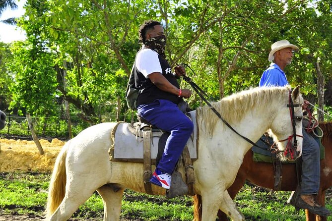 Horseback Riding in the Dominican Jungle - Food and drinks: BBQ lunch plus open-bar reality check
