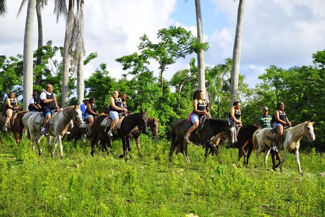 Horseback Riding in the Dominican Jungle - Timing and logistics: how to avoid a shaky start