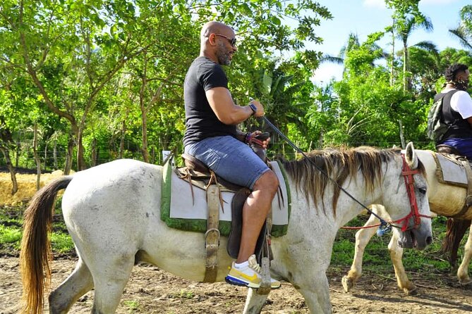 Horseback Riding in the Dominican Jungle - How much value you get for $69.99