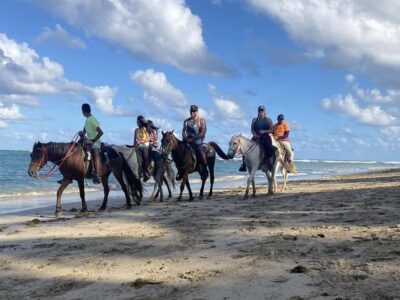 Horseback Riding Macao Beach Experience Paradise onHorseback - The 3-Hour Flow From Punta Cana Pickup to Ranch Return