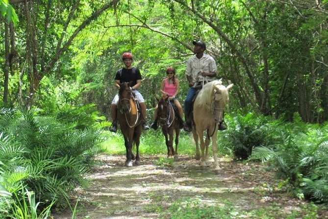 Horseback Riding on the Beach in Punta Cana (One Hour) - Horseback Riding on Bavaro Beach: What You’re Really Paying For