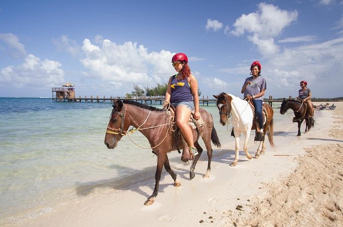 Horseback Riding on the Beach in Punta Cana (One Hour) - A Note on Reliability: The Pickup Stories You Should Not Ignore