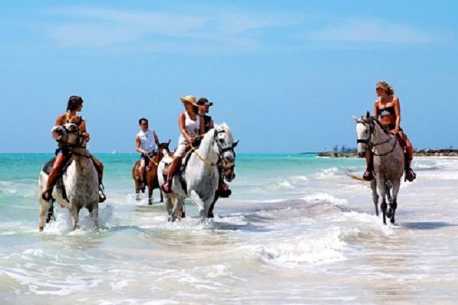 Horseback Riding on the Beach in Punta Cana (One Hour) - What the Guide Does (And Why First-Timers Should Care)