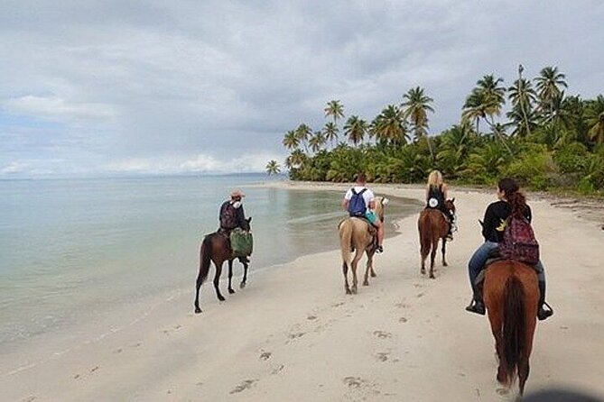 Horseback Riding on the Beaches of Punta Cana - Meeting time and how to plan your day around it
