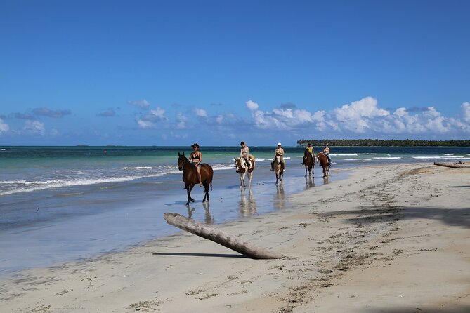 Horseback Riding on the Beaches of Punta Cana - Pickup, mobile ticket, and the “don’t lose time” advantage