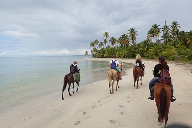 Horseback Riding on the Beaches of Punta Cana - The main value question: is $50 a good deal?