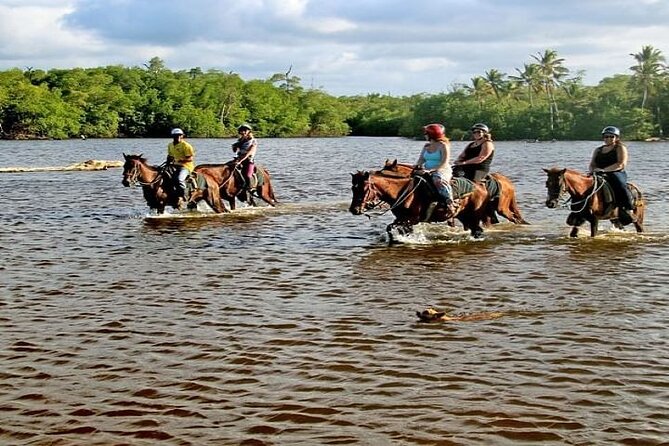 Horseback Riding to Maimon River from Punta Cana - Key Things to Know Before You Ride the Maimon River