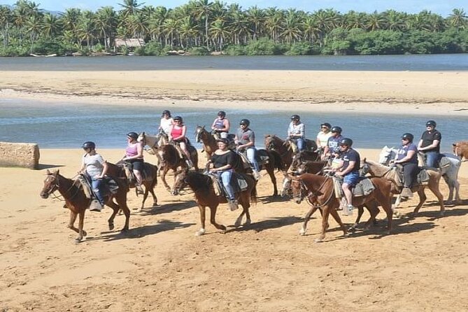 Horseback Riding to Maimon River from Punta Cana - Price and Value: Does $45 Go Far in Punta Cana?