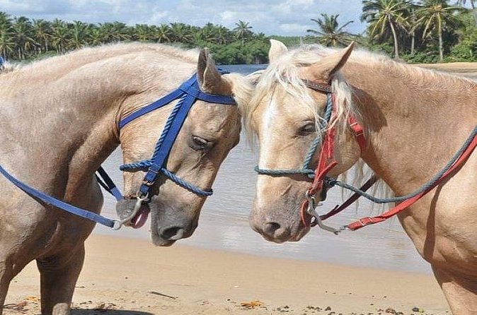 Horseback Riding to Maimon River from Punta Cana - What to Wear and Bring for Comfort (And for River Stops)