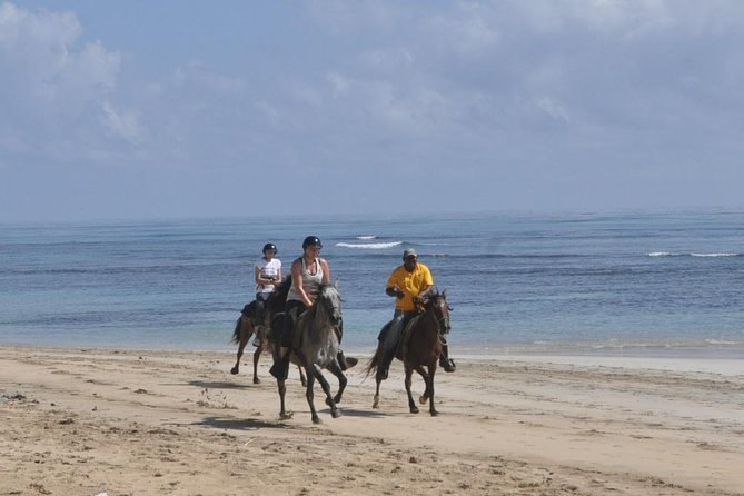 Horseback Riding Tour Adventure on the Beach - Time on the Clock: What 4 Hours Really Means