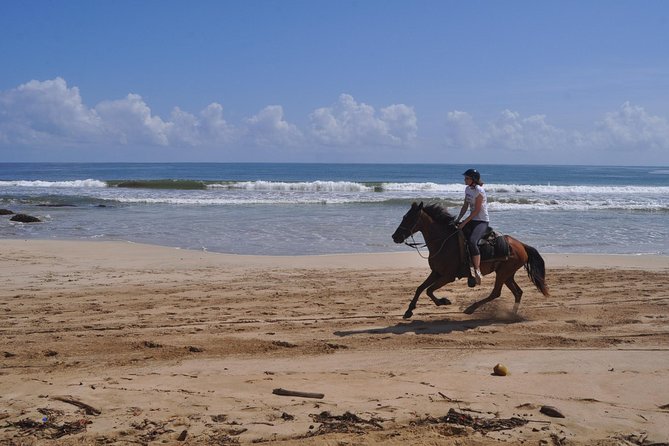 Horseback Riding Tour Adventure on the Beach - What to Pack (So You Don’t Turn the Ride Into a Chore)