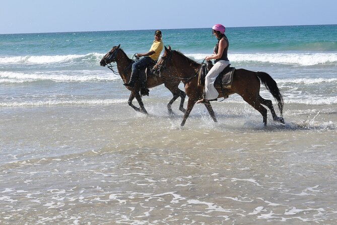 Horseback Riding Tour on the Beaches of Punta Cana - Who should book this horseback tour