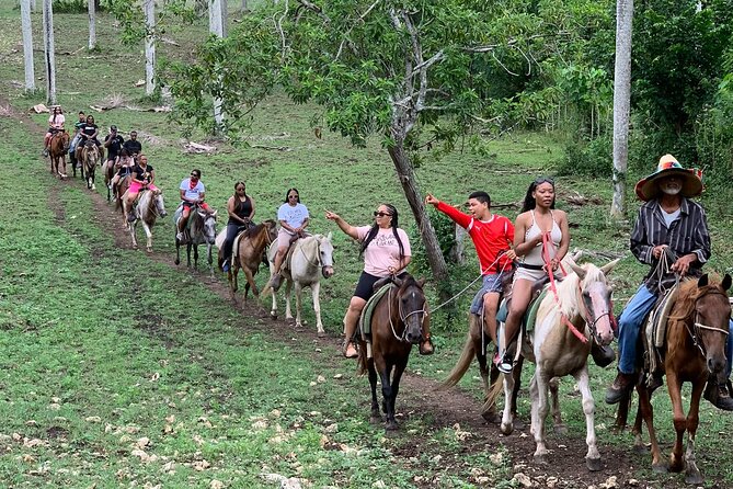 Horseback Riding with Pickup from Punta Cana - Key highlights at Rancho Papito (Punta Cana)