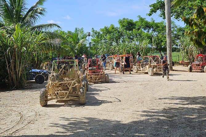 Horses, Buggy, and plantation in Chocaci Ranch - Key Highlights You’ll Care About