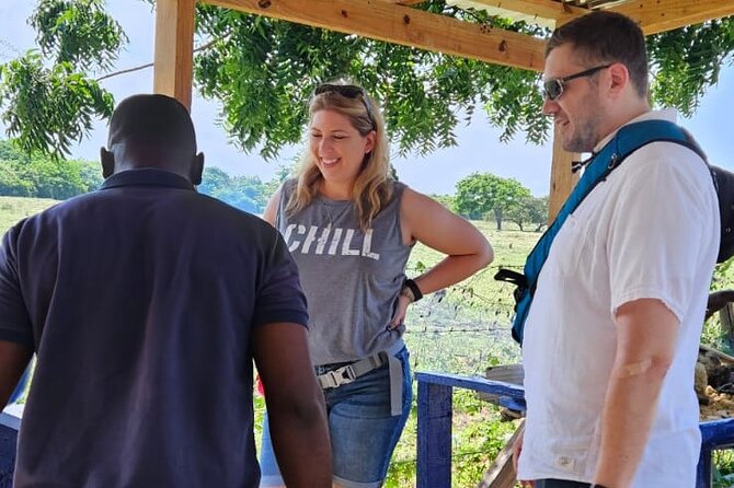 Horses, Buggy, and plantation in Chocaci Ranch - Tasting and What’s Included (and What Isn’t)