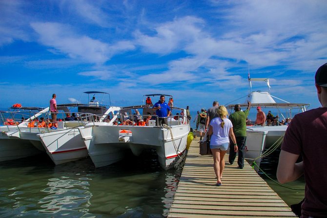 Humpback whales Watching + Samana Eco-Tour - Cayo Levantado (Bacardi Island): lunch, sun, and a breather from the motion