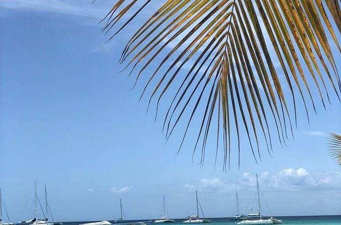 Iberostar Grand Bavaro - Round Trip Shuttle - Punta Cana Airport - Price and value: when $80 per group is a win