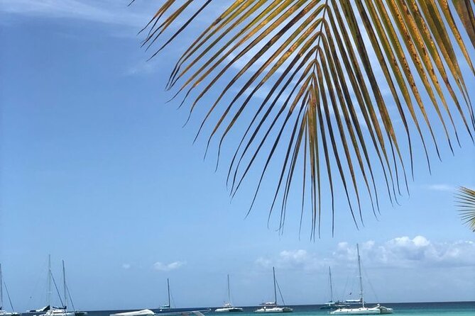 Iberostar Grand Bavaro - Round Trip Shuttle - Punta Cana Airport - Group size: how the limit affects your plan