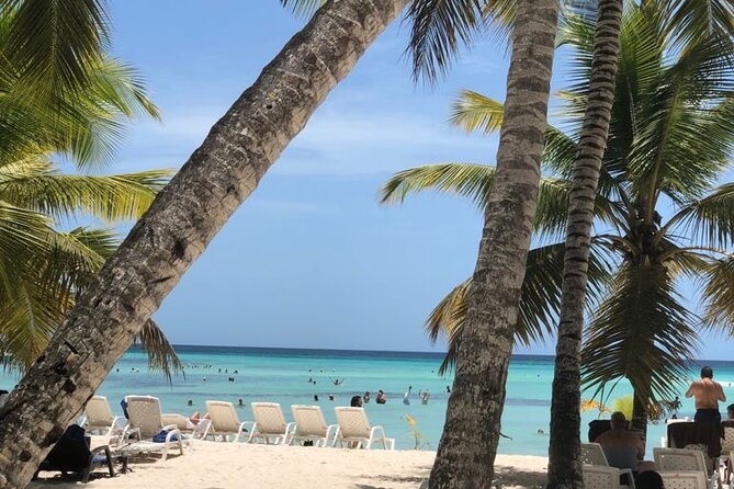 Iberostar Grand Bavaro - Round Trip Shuttle - Punta Cana Airport - Punta Cana Airport to Iberostar Grand Bavaro: why a private shuttle wins